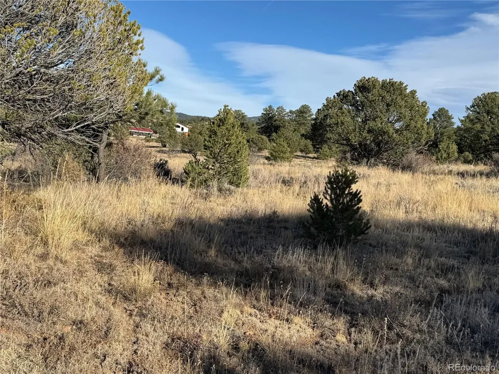 35 Stephens Drive Westcliffe, CO 81252