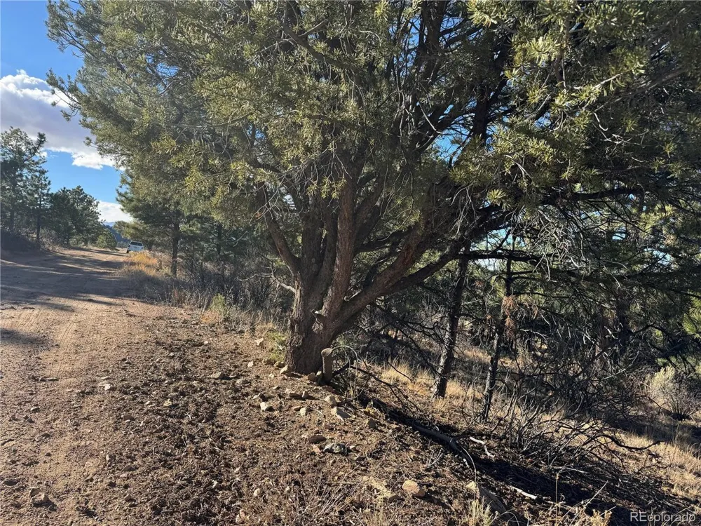 35 Stephens Drive Westcliffe, CO 81252