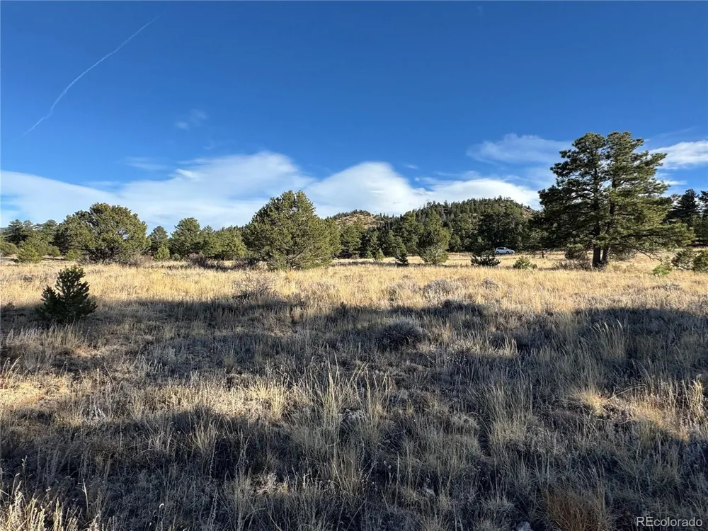 35 Stephens Drive Westcliffe, CO 81252