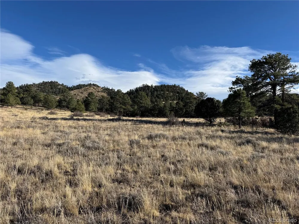 35 Stephens Drive Westcliffe, CO 81252