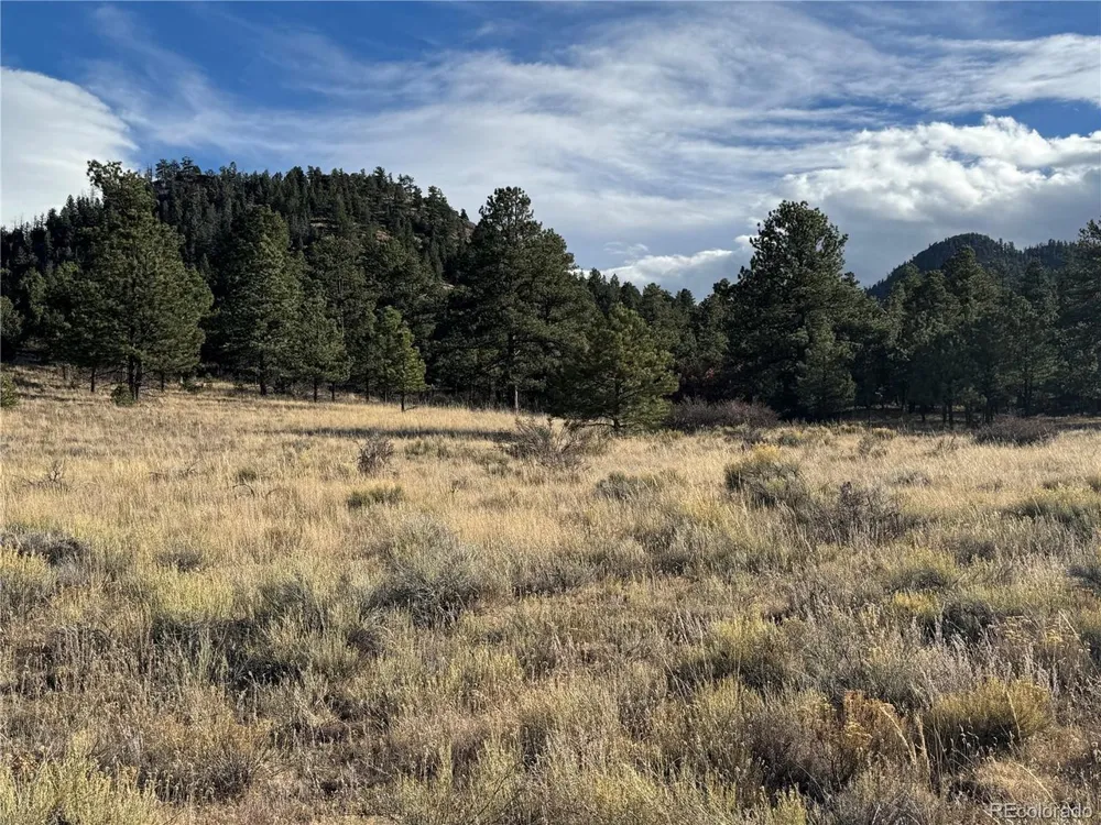 35 Stephens Drive Westcliffe, CO 81252