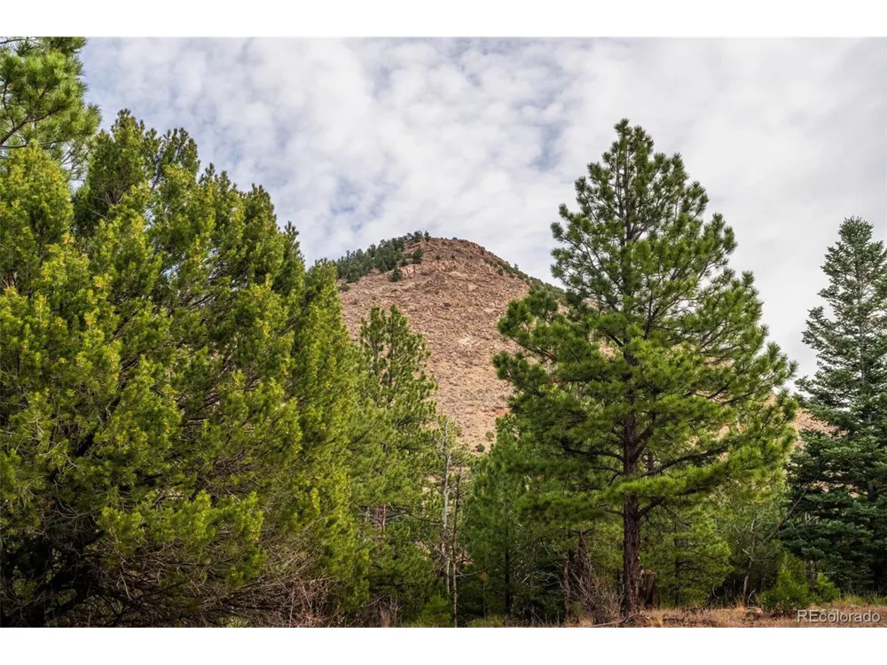 881 Vista De Aspen Road Westcliffe, CO 81252