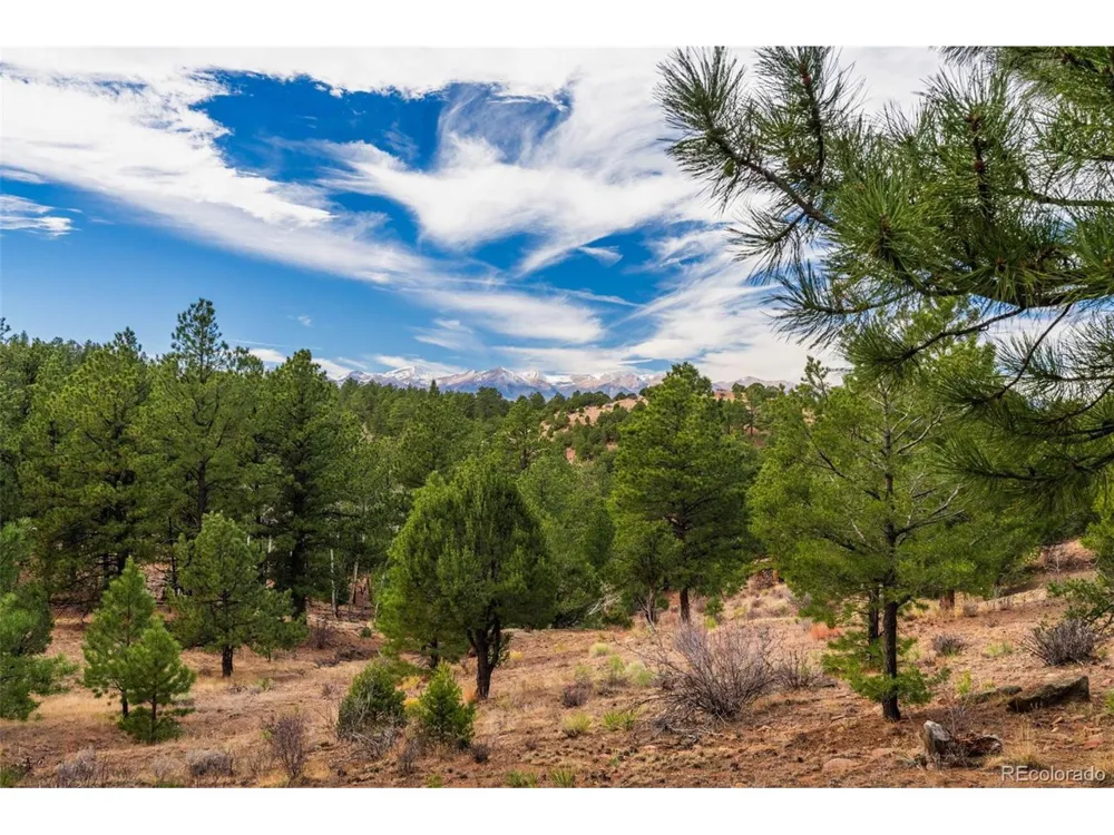 881 Vista De Aspen Road Westcliffe, CO 81252