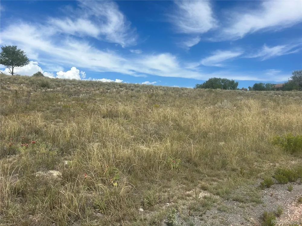 213 W Palomar Plz Pueblo West, CO 81007