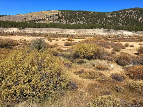 Leadville Land