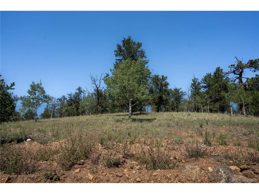 530 Gitche Goone Lane Como, CO 80432