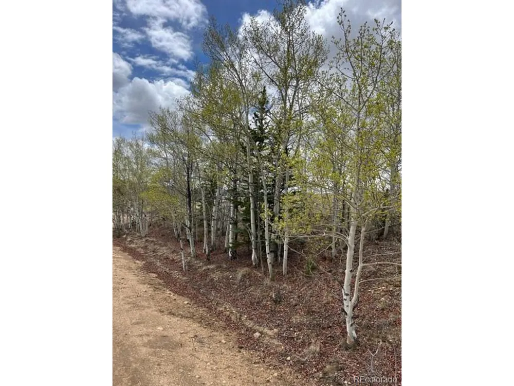 530 Gitche Goone Lane Como, CO 80432