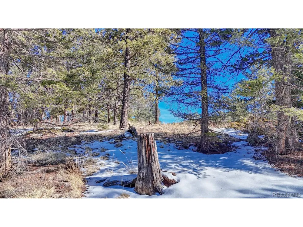 79 Huntsman Circle Florissant, CO 80816