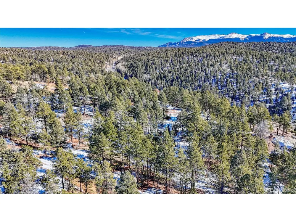 79 Huntsman Circle Florissant, CO 80816