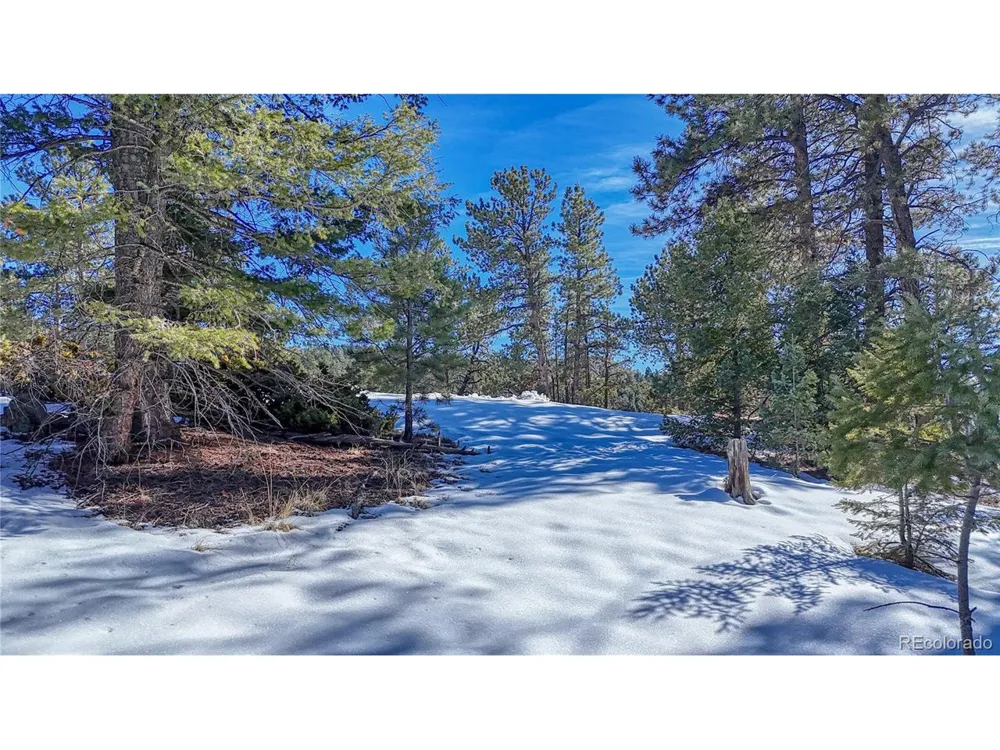 79 Huntsman Circle Florissant, CO 80816