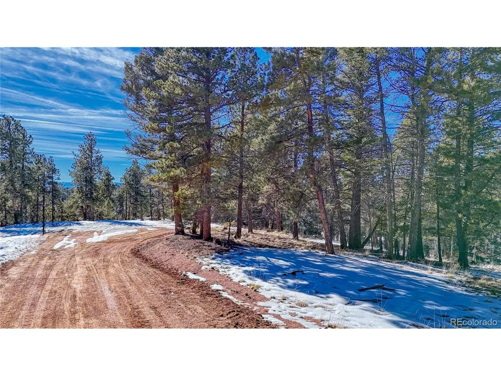 79 Huntsman Circle Florissant, CO 80816