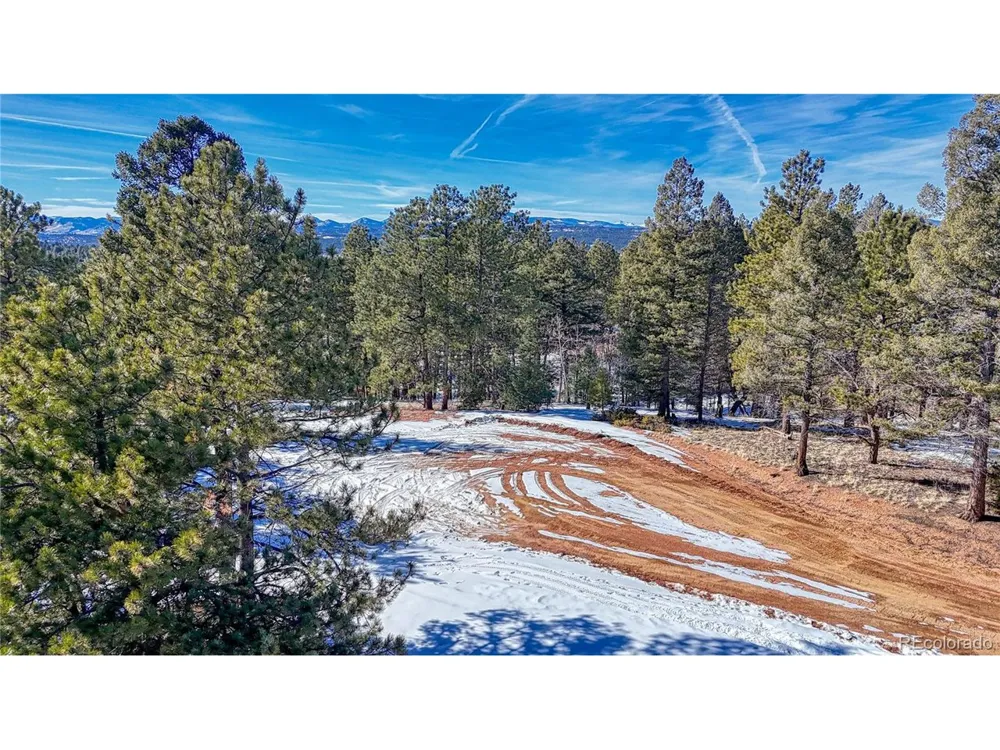 79 Huntsman Circle Florissant, CO 80816