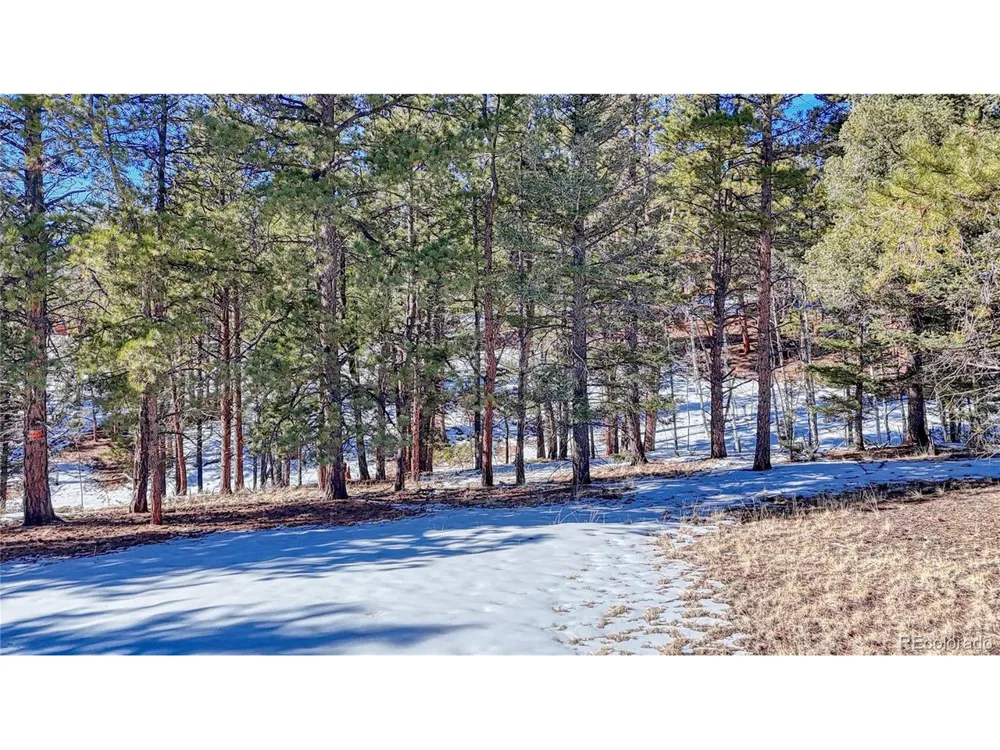 79 Huntsman Circle Florissant, CO 80816