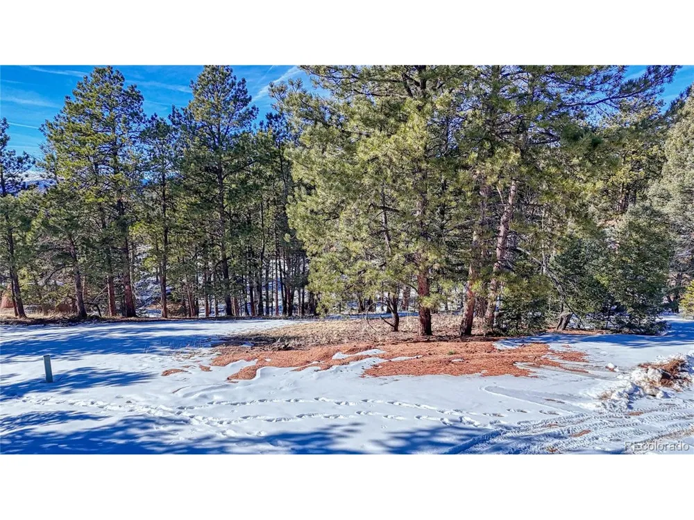 79 Huntsman Circle Florissant, CO 80816