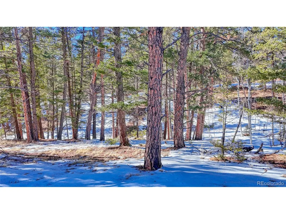 79 Huntsman Circle Florissant, CO 80816