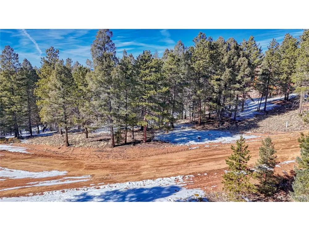 79 Huntsman Circle Florissant, CO 80816