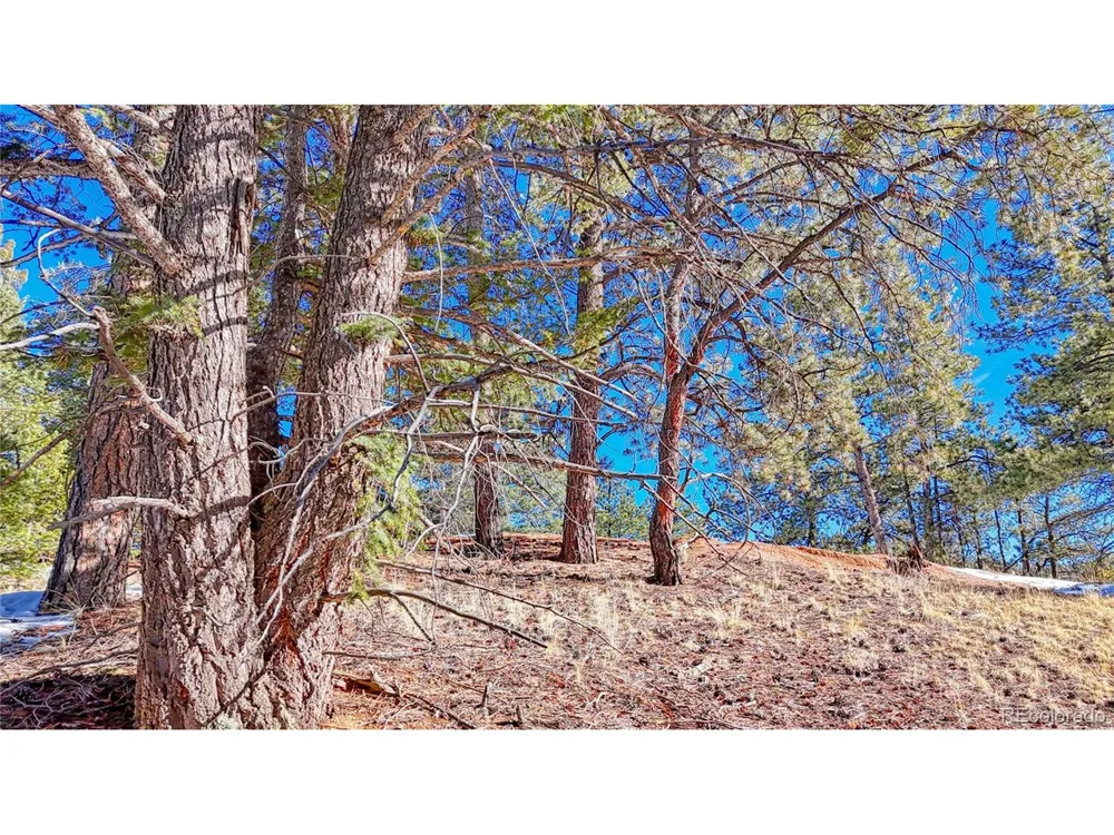 79 Huntsman Circle Florissant, CO 80816