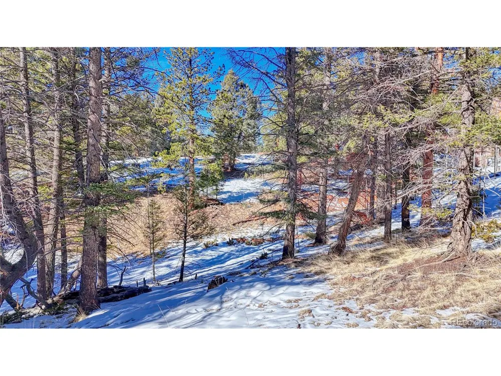 79 Huntsman Circle Florissant, CO 80816