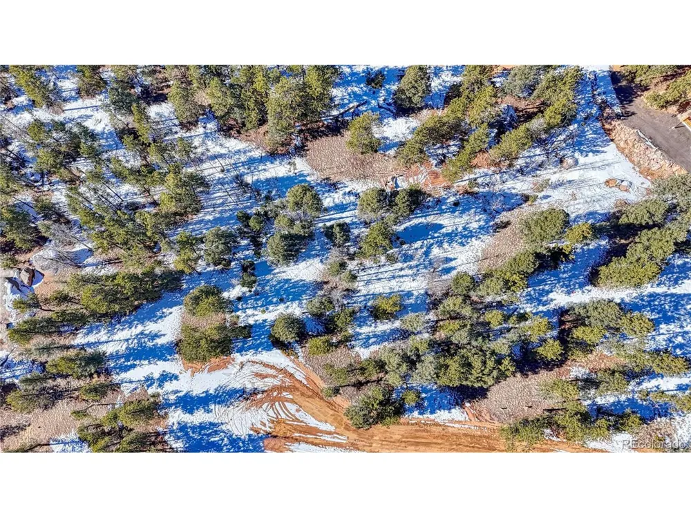 79 Huntsman Circle Florissant, CO 80816
