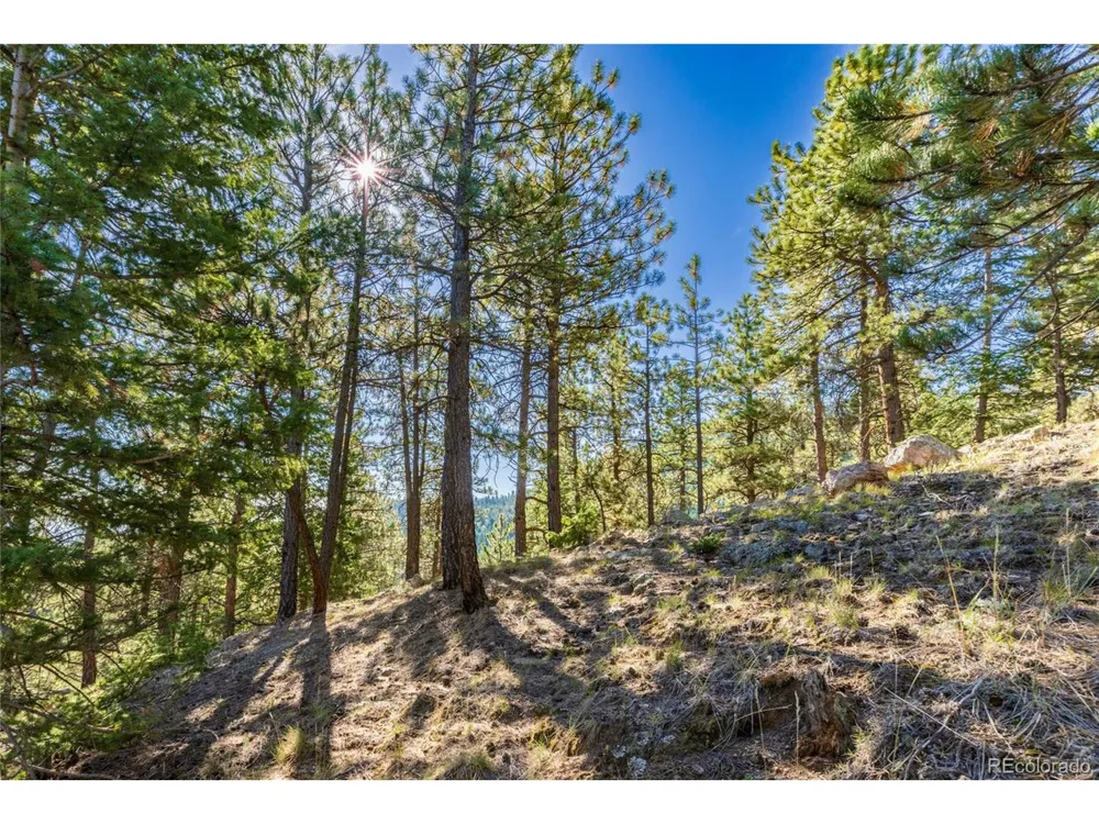 155 Millionaire Drive W Boulder, CO 80302