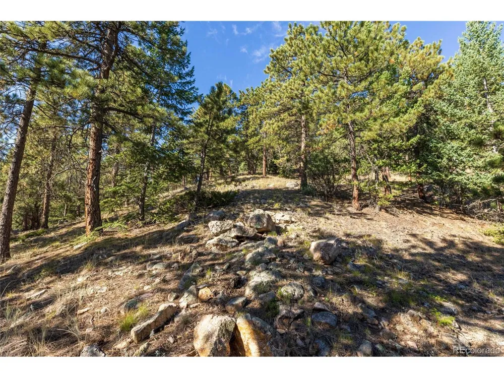 155 Millionaire Drive W Boulder, CO 80302