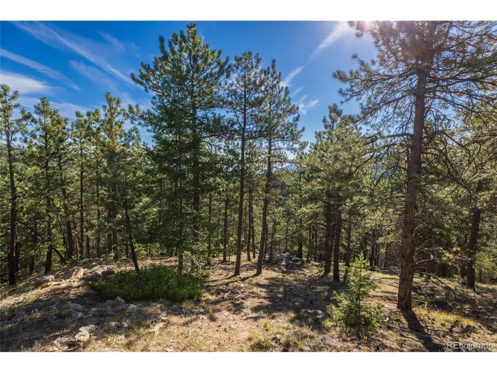 155 Millionaire Drive W Boulder, CO 80302