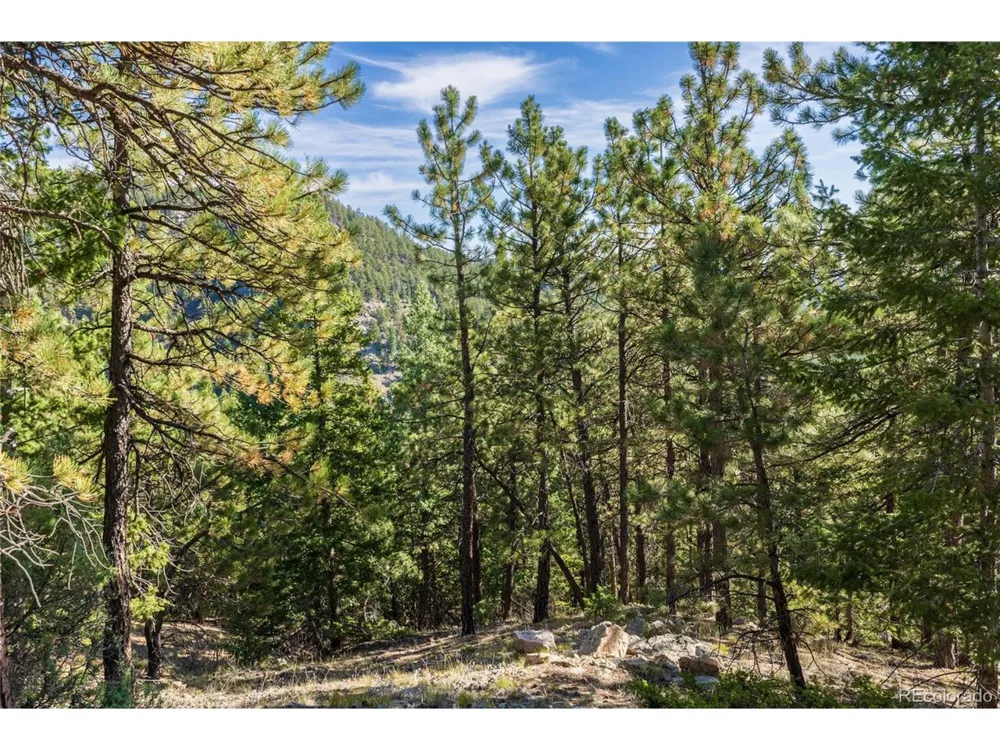 155 Millionaire Drive W Boulder, CO 80302