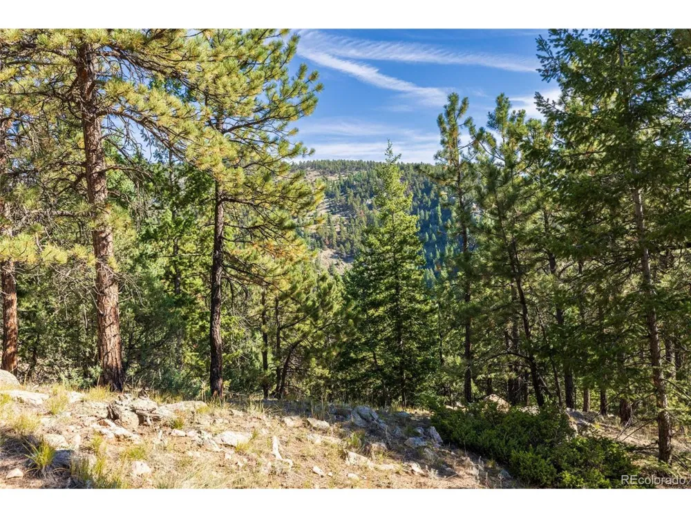 155 Millionaire Drive W Boulder, CO 80302