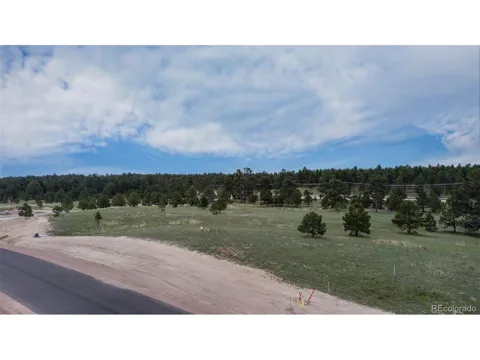 11809 Flap Jack Lane