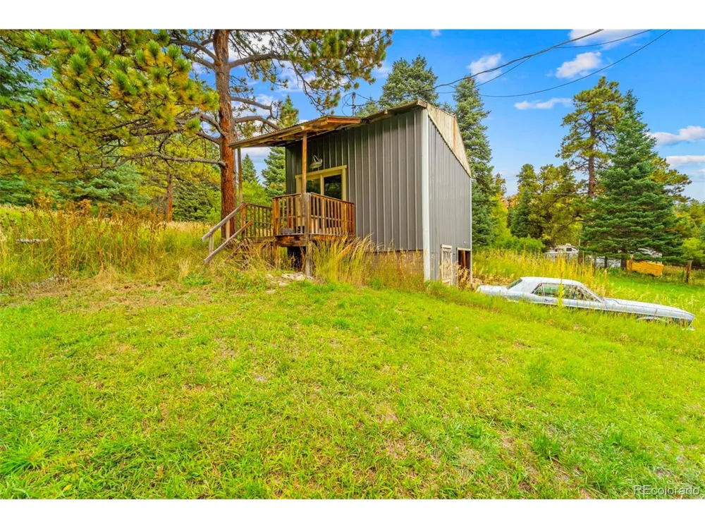 10829 Bartlett Trail Rye, CO 81069