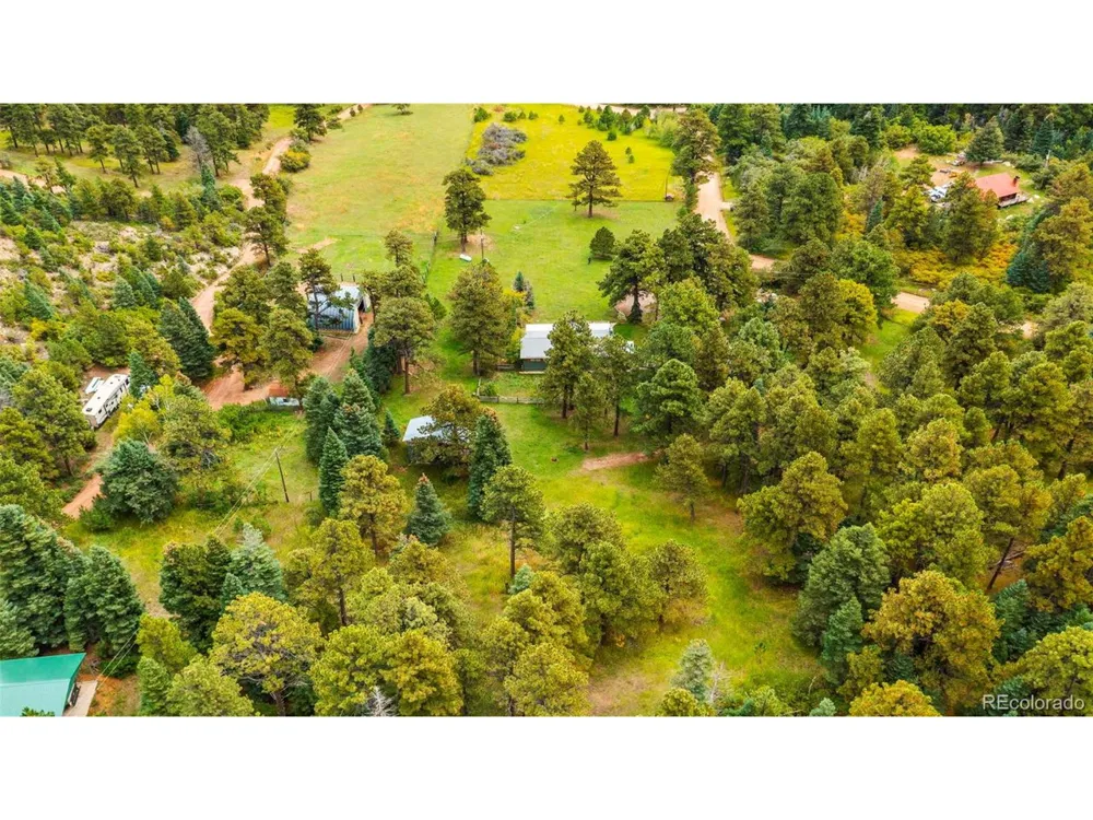 10829 Bartlett Trail Rye, CO 81069