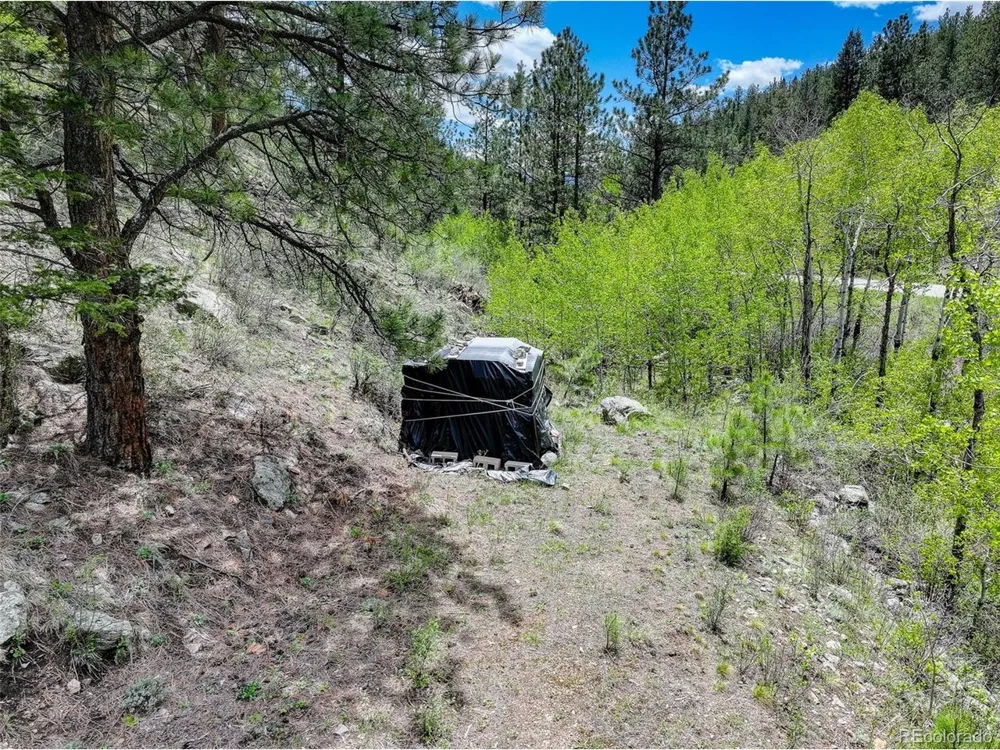 400 Crow Valley Road Bailey, CO 80421