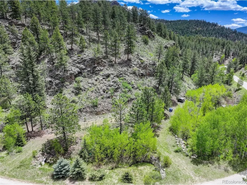 400 Crow Valley Road Bailey, CO 80421