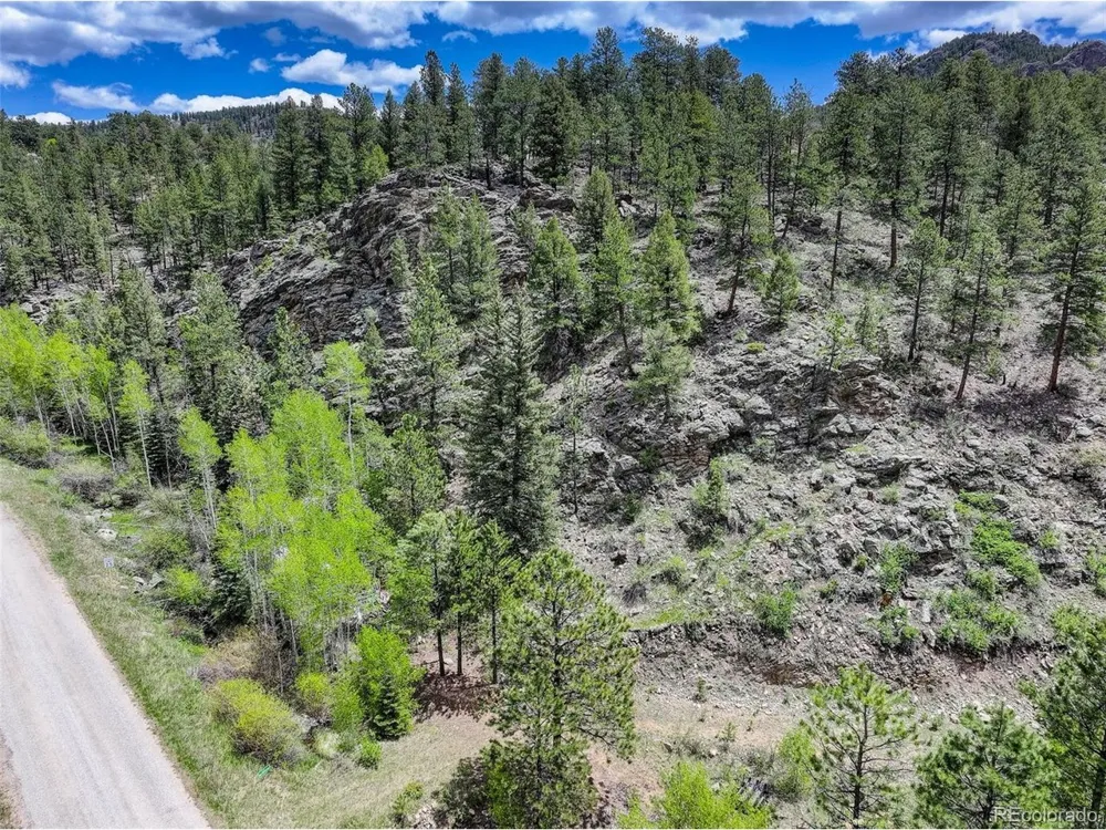 400 Crow Valley Road Bailey, CO 80421