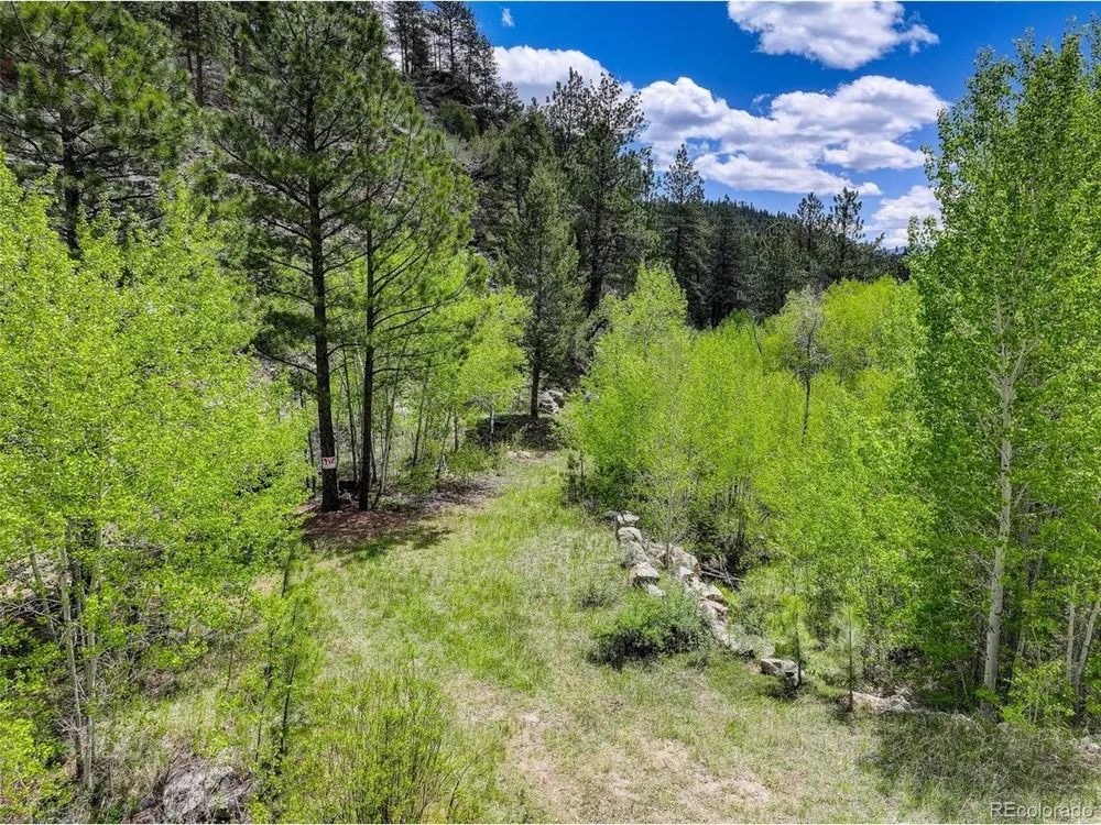 400 Crow Valley Road Bailey, CO 80421