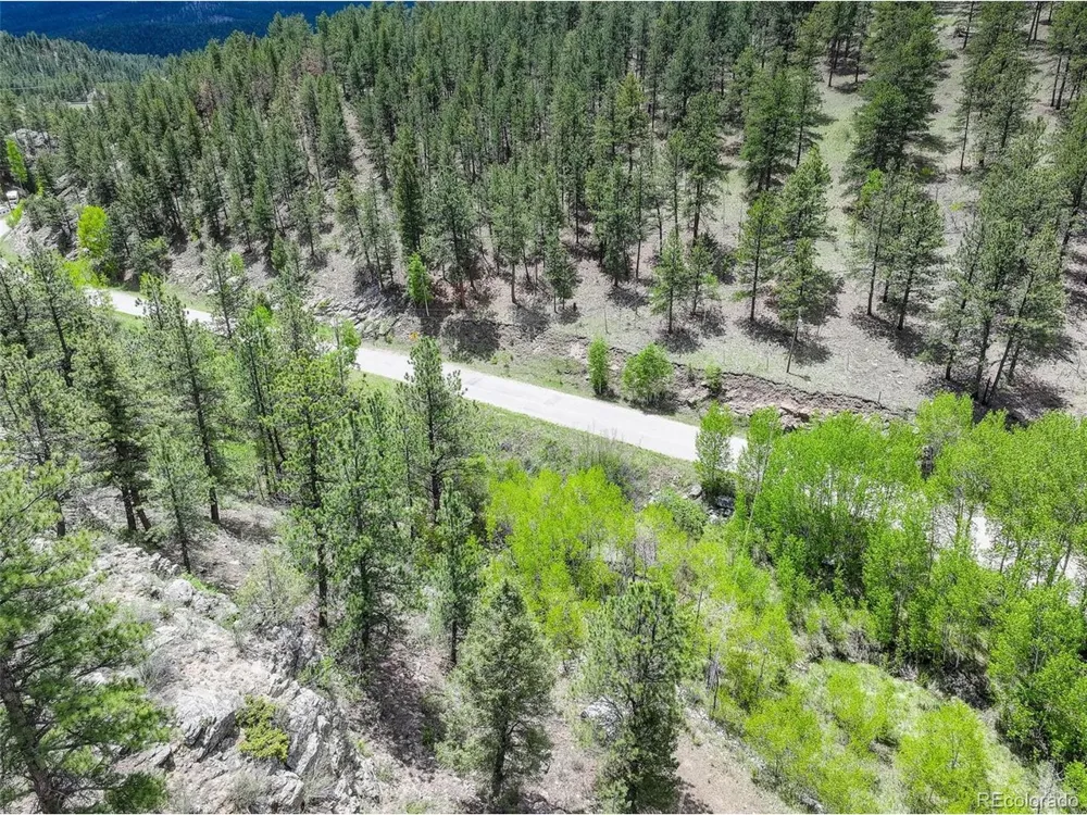 400 Crow Valley Road Bailey, CO 80421