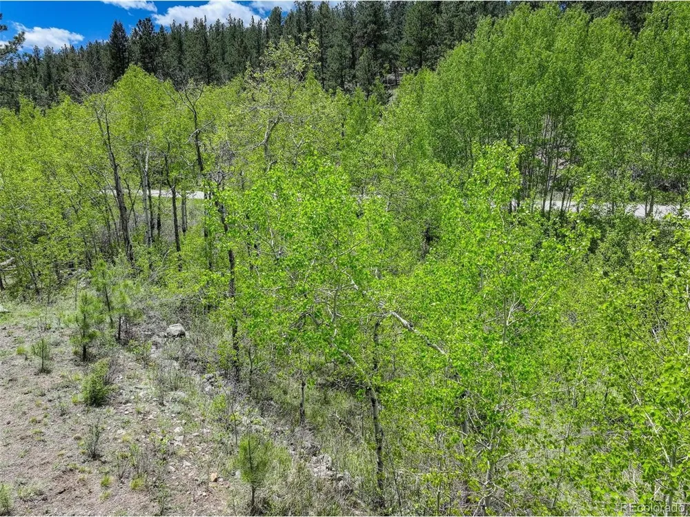 400 Crow Valley Road Bailey, CO 80421