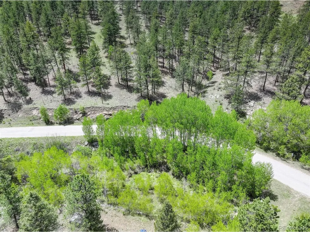 400 Crow Valley Road Bailey, CO 80421