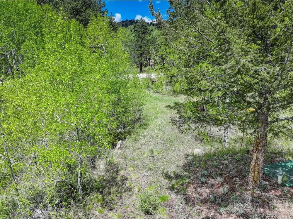 400 Crow Valley Road Bailey, CO 80421