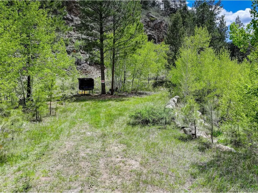 400 Crow Valley Road Bailey, CO 80421
