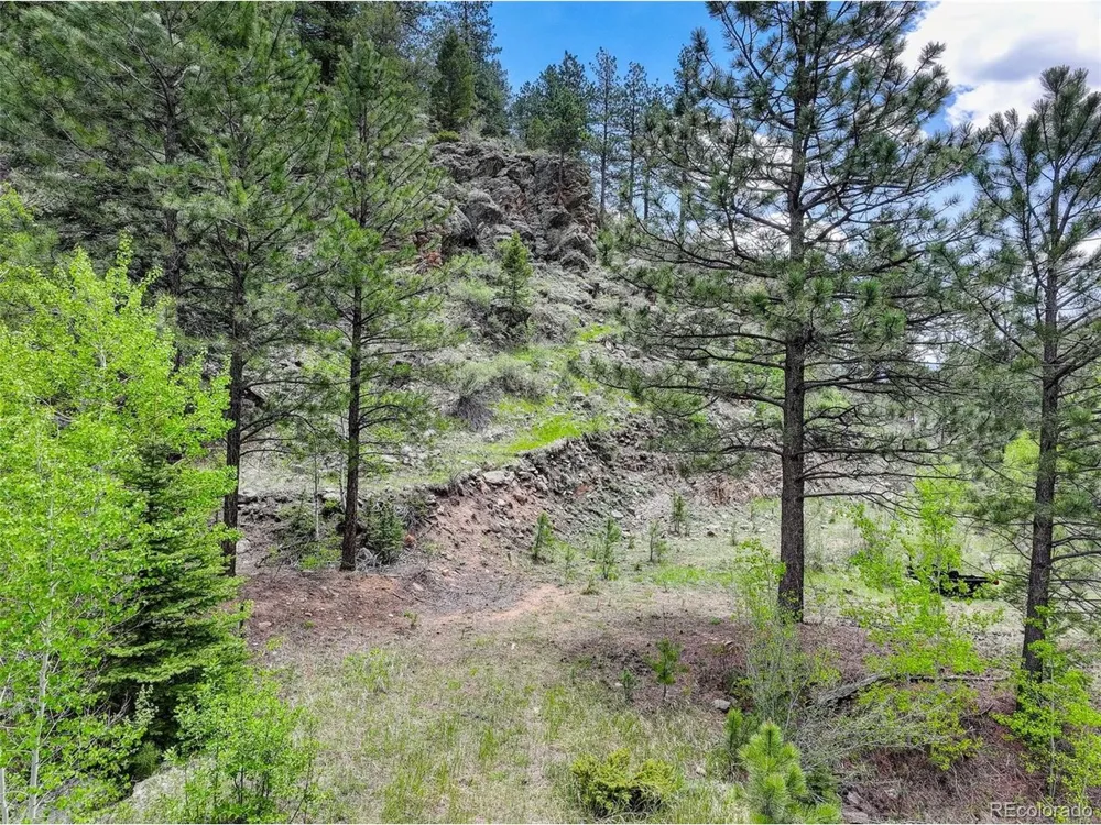 400 Crow Valley Road Bailey, CO 80421