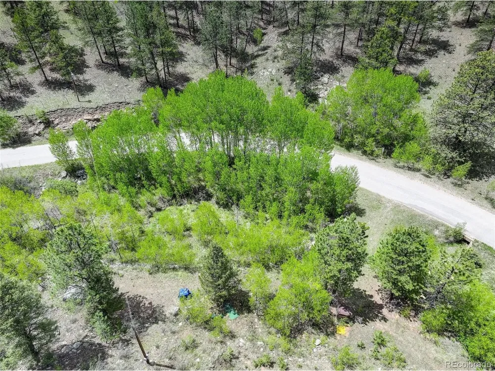 400 Crow Valley Road Bailey, CO 80421