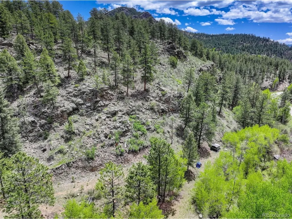 400 Crow Valley Road Bailey, CO 80421