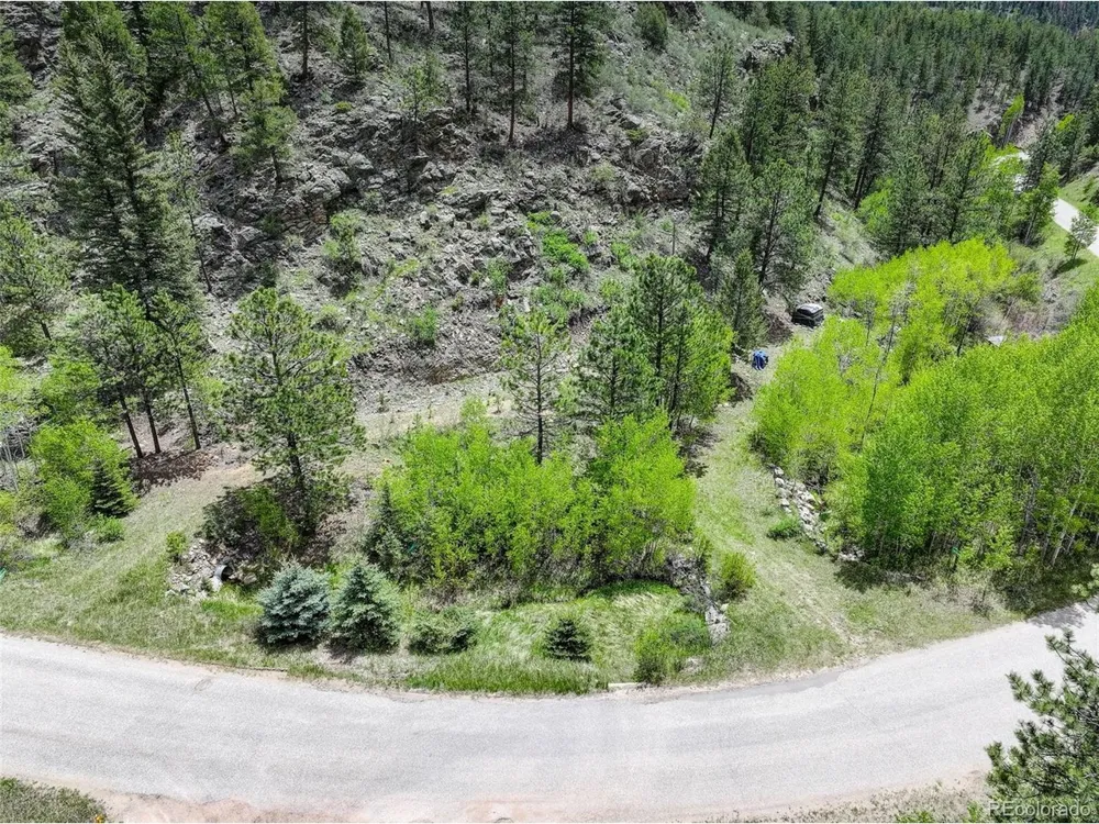 400 Crow Valley Road Bailey, CO 80421