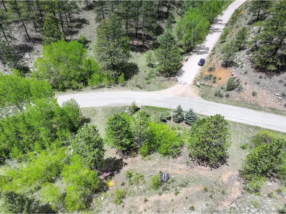 400 Crow Valley Road Bailey, CO 80421