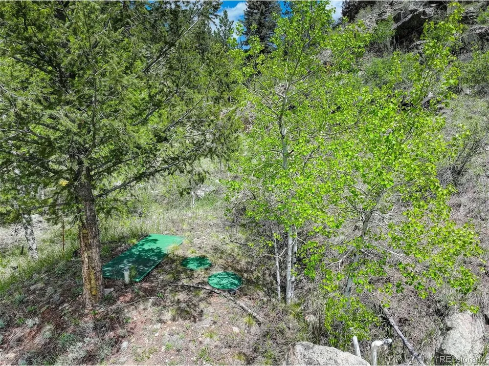 400 Crow Valley Road Bailey, CO 80421