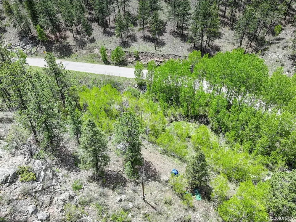 400 Crow Valley Road Bailey, CO 80421