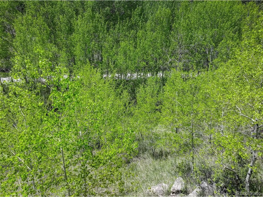 400 Crow Valley Road Bailey, CO 80421