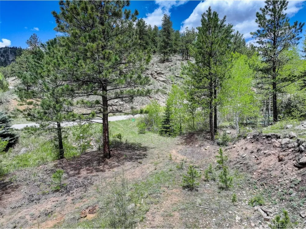400 Crow Valley Road Bailey, CO 80421