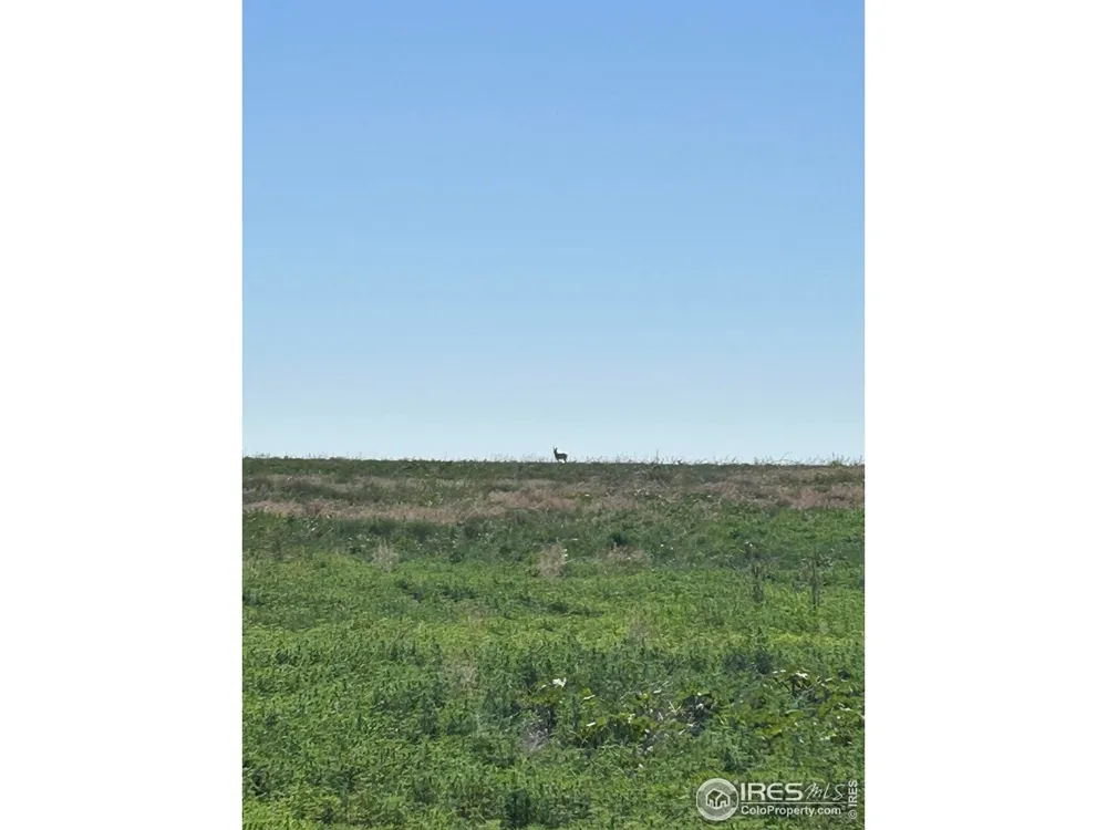 0 CR 74 Briggsdale, CO 80611